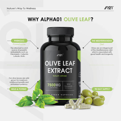 Olive Leaf Extract 7500mg - 90 Capsules