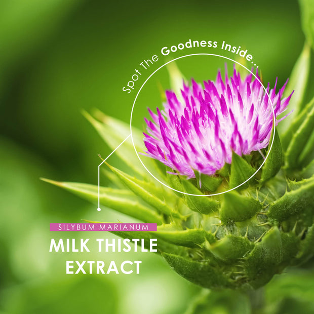 Milk Thistle 80% 30:1 - 7500mg - 120 Capsules