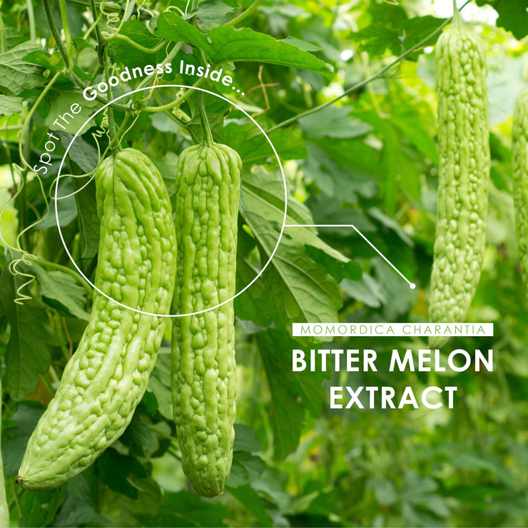 Bitter Melon Extract 30:1 - 550mg - 60 Capsules + Bag