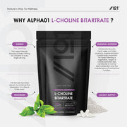 L Choline Bitrate with BioPerine - 550mg - 120 Capsules