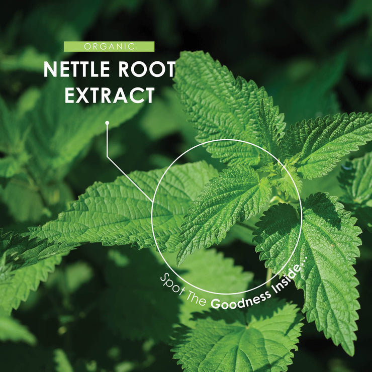Organic Nettle Extract 10:1 - 5000mg - 120 Capsules