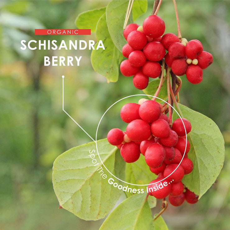 Organic Schisandra berry powder - 1000mg - 120 Capsules
