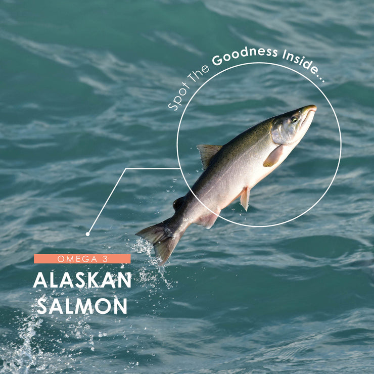Wild Alaskan Salmon Omega 3 Oil - 90 Softgels