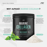 Wild-Caught Marine Collagen Powder Types I & III - 200g - Unflavoured