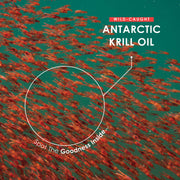 Wild Caught Krill Oil - 1000mg - 60 Softgels
