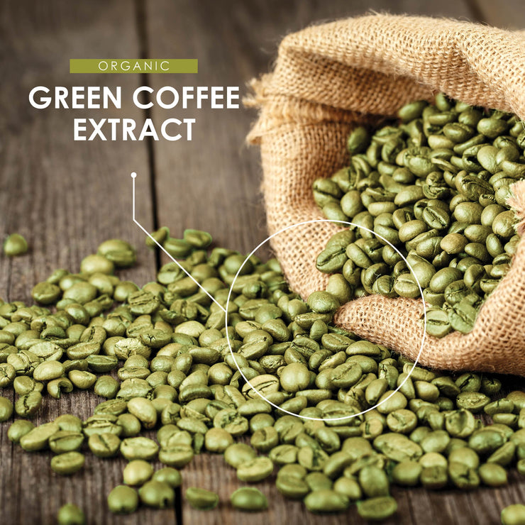 Organic Green Coffee Extract 6:1 - 13,500mg - 90 Capsules